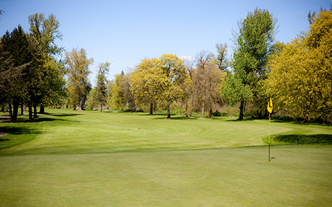 Membership at Emerald Valley Golf Club